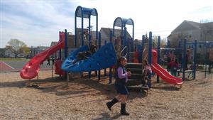 Gomes Park Playground