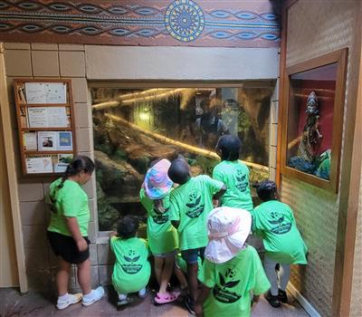 Children looking into Habitat