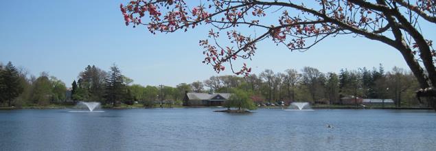 A serene pond featuring a central fountain, surrounded by lush greenery &clear blue skies.